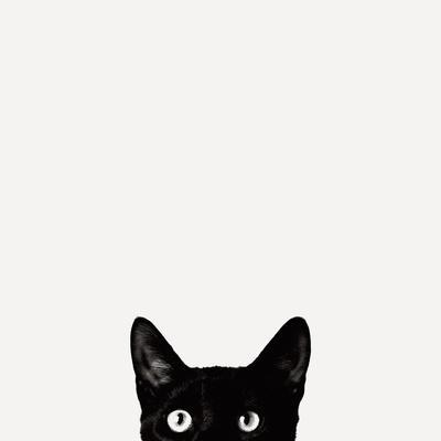 Curiosity - Photographic Print, 16x16
