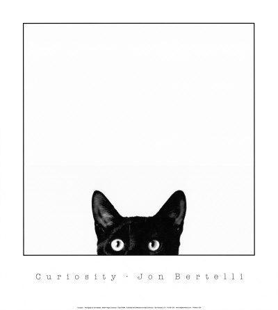 Curiosity - Wall Art Print, 18x20