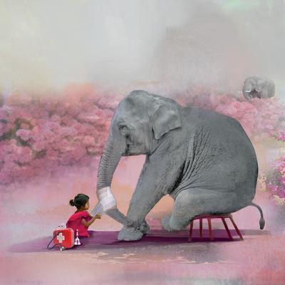 My Elephant Friend - Photographic Print, 16x16